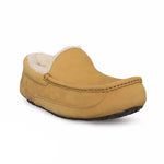 Men's Ascot Slipper